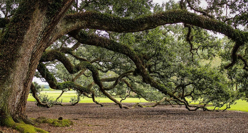 免费ddos在线攻击测试网站